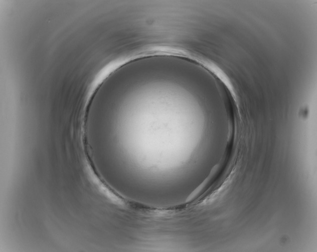 X0000091941381200709051514