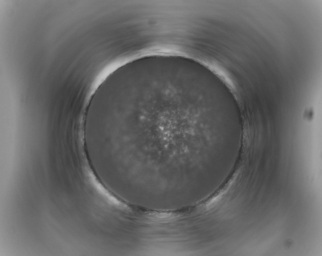 X0000091941382200709051514