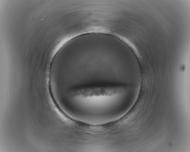 X0000091941383200709051514