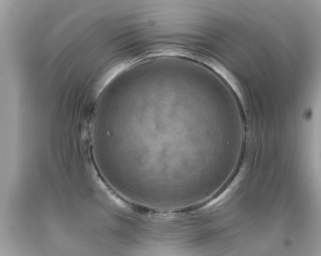 X0000091941385200709051513