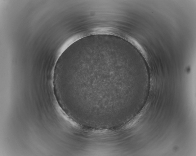 X0000091941386200709051513