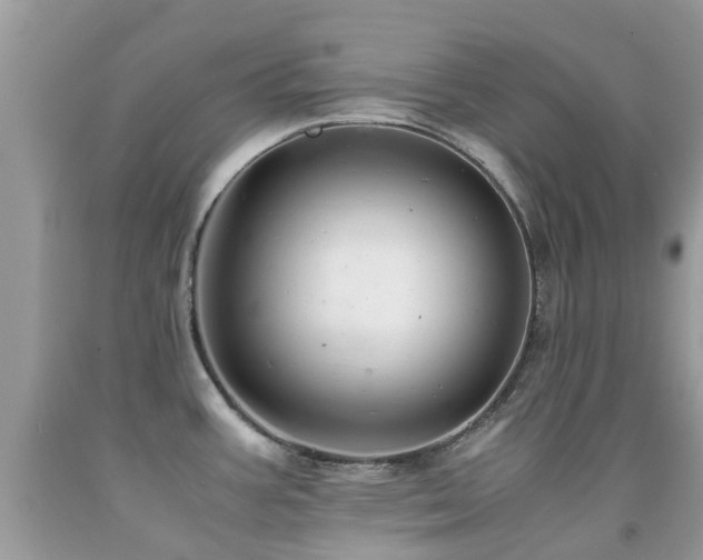 X0000091941387200709051513