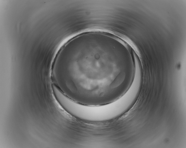 X0000091941388200709051513