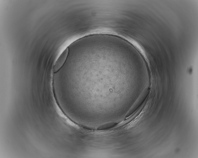 X0000091941390200709051513