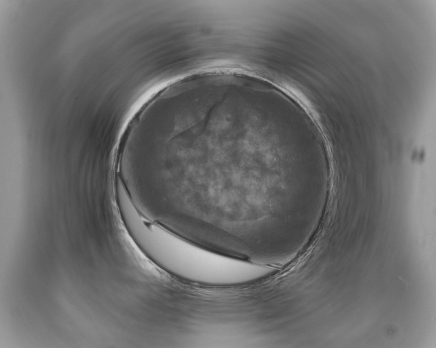 X0000091941392200709051513