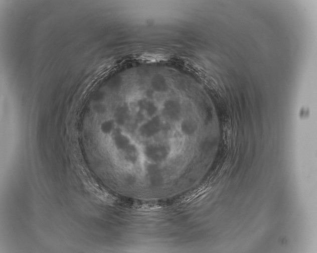 X0000091941393200709051513