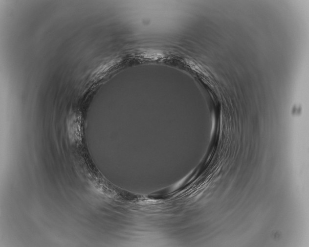 X0000091941394200709051513