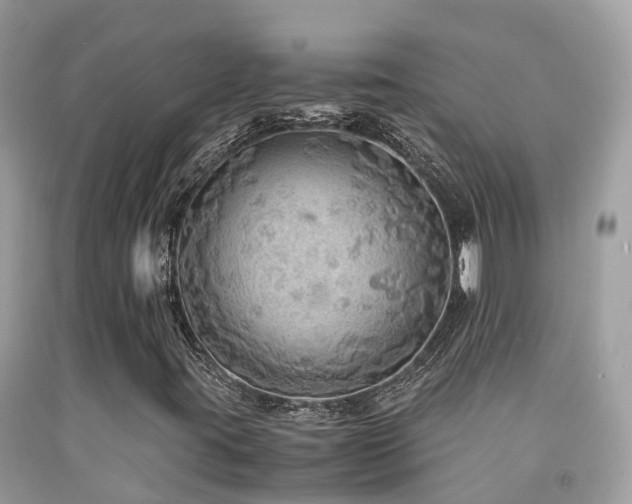 X0000091941395200709051513