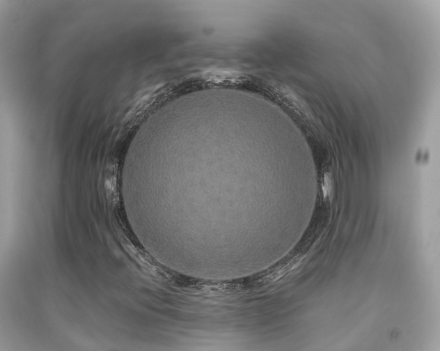 X0000091941396200709051513