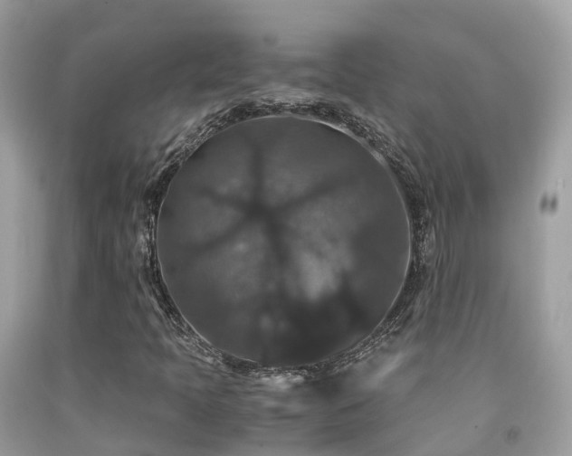 X0000091941397200709051513