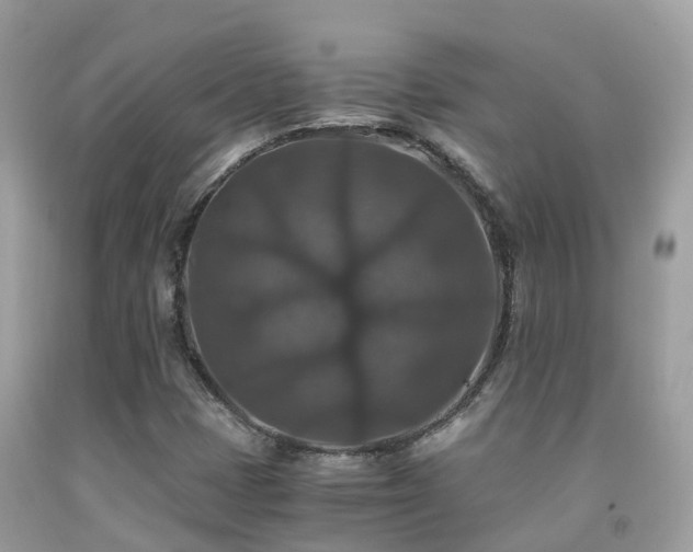 X0000091941401200709051513