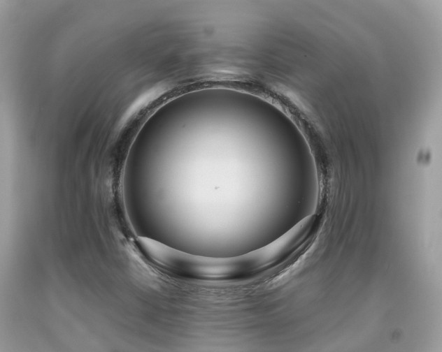 X0000091941402200709051513