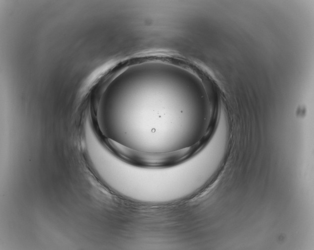 X0000091941406200709051513