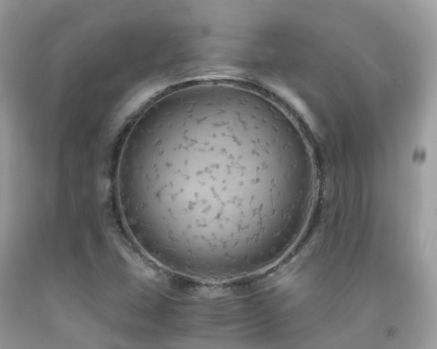 X0000091941407200709051513