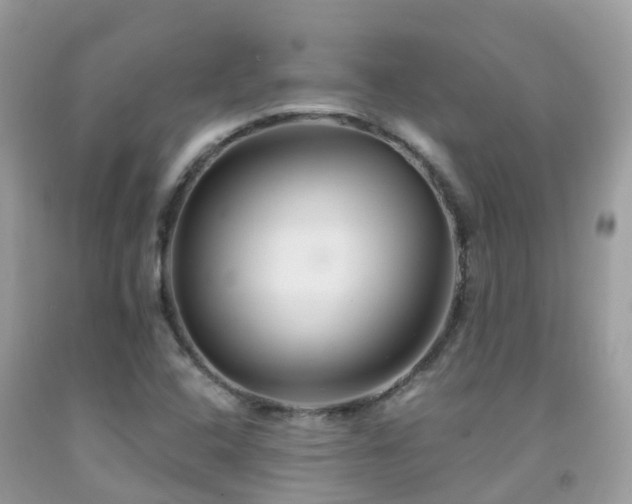 X0000091941408200709051513