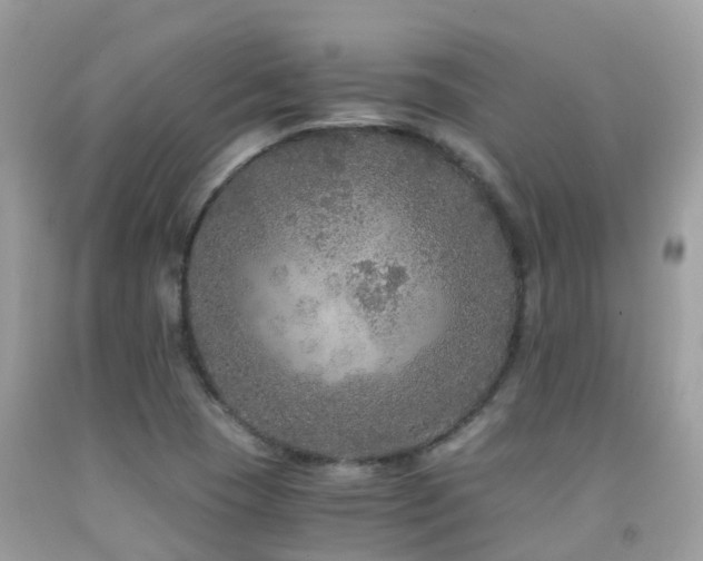 X0000091941409200709051513