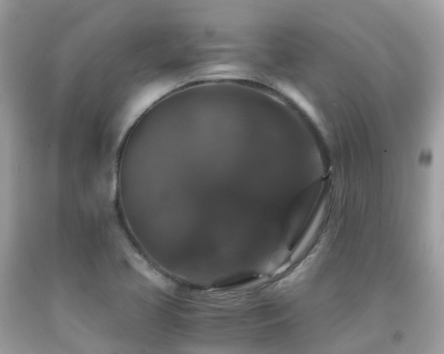 X0000091941413200709051513