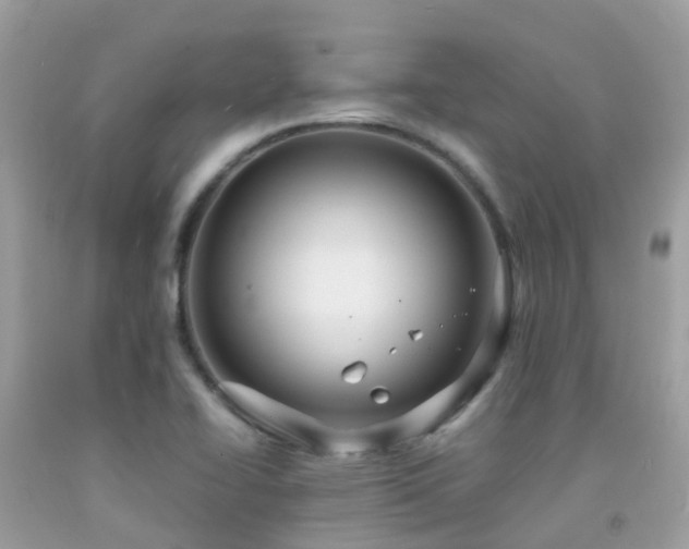 X0000091941414200709051513