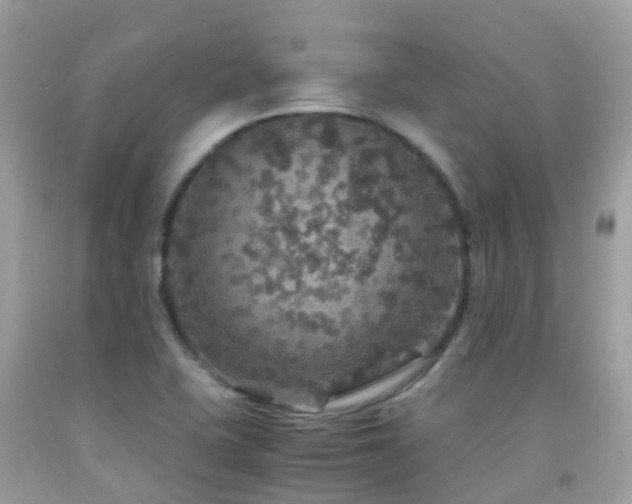 X0000091941415200709051513