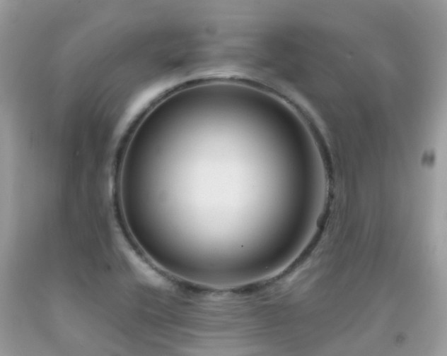 X0000091941416200709051513