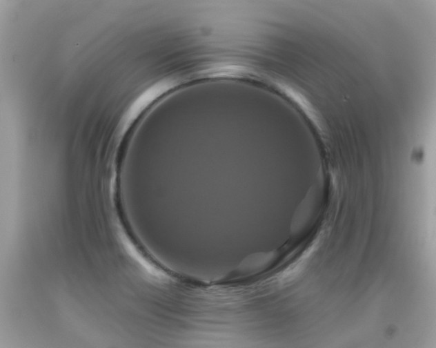 X0000091941418200709051513