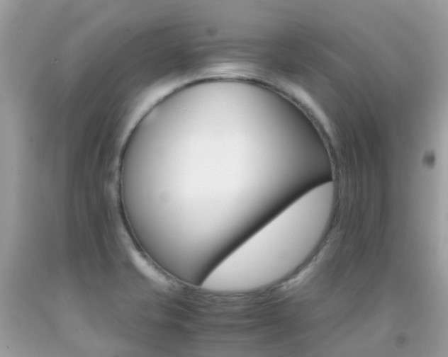 X0000091941421200709051513