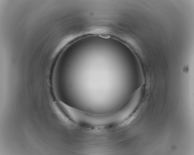 X0000091941422200709051513