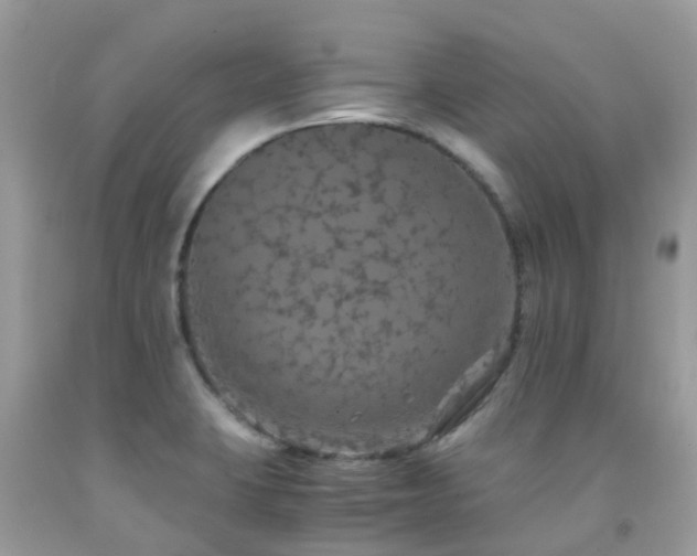 X0000091941423200709051513