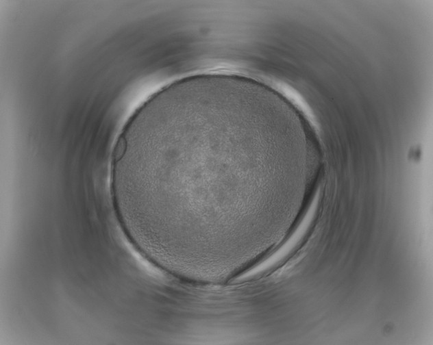 X0000091941424200709051513