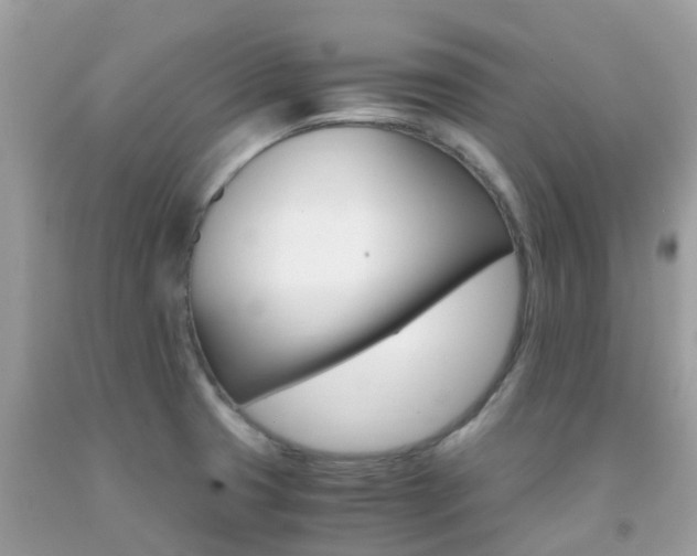 X0000091941425200709051513