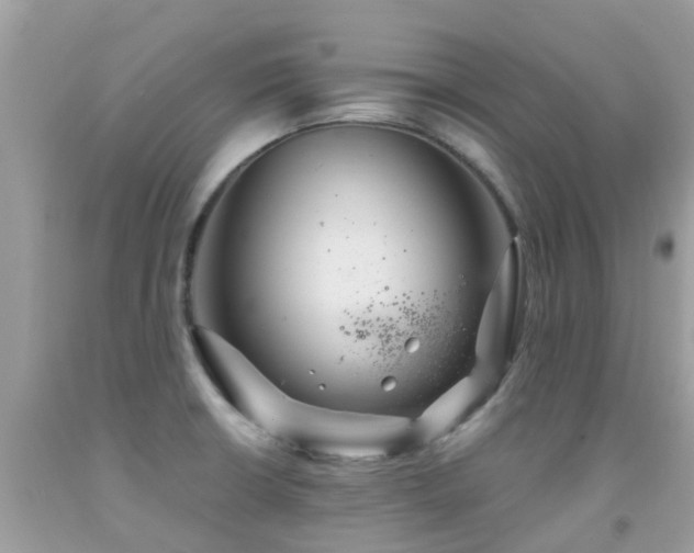 X0000091941426200709051513