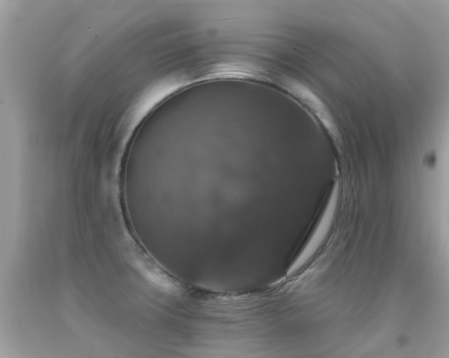 X0000091941427200709051513