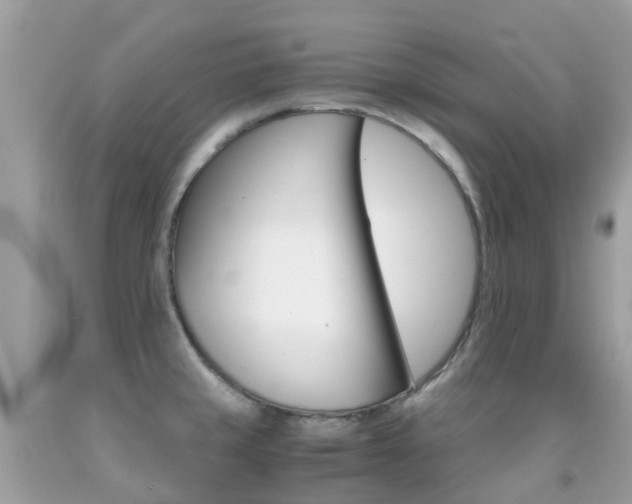 X0000091941429200709051513