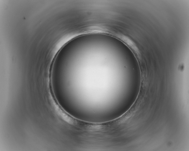 X0000091941431200709051513