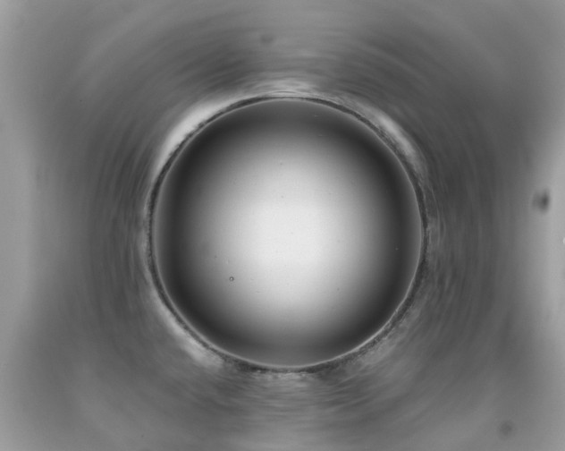 X0000091941432200709051513