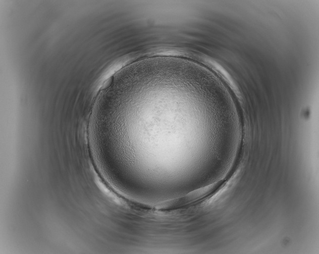 X0000091941433200709051513