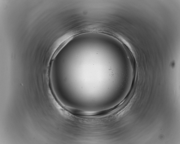 X0000091941434200709051513