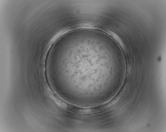 X0000091941435200709051513