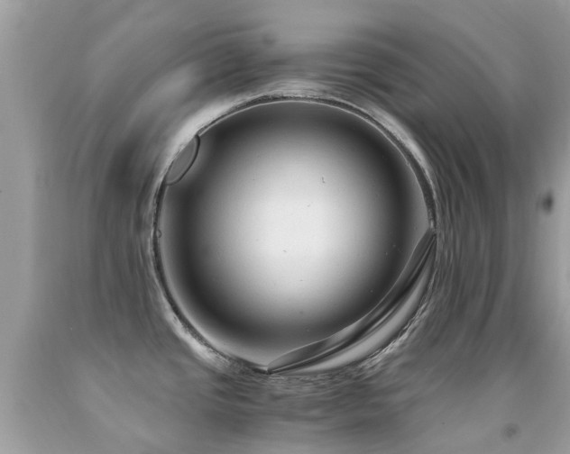 X0000091941437200709051513