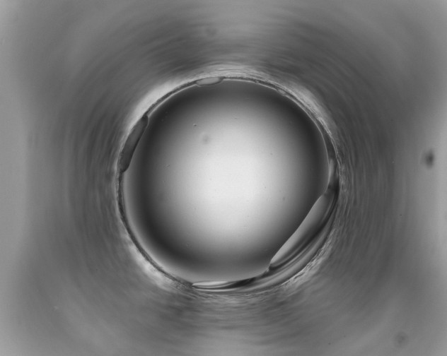 X0000091941438200709051513