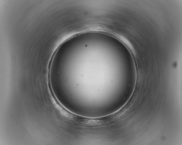 X0000091941439200709051513