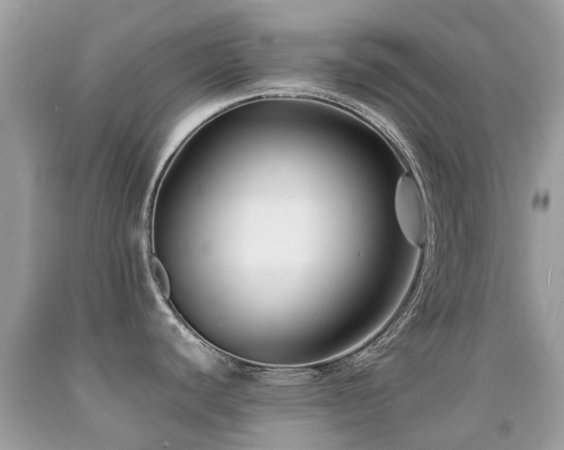 X0000091941440200709051513