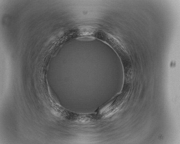 X0000091941441200709051513