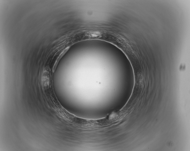 X0000091941442200709051513