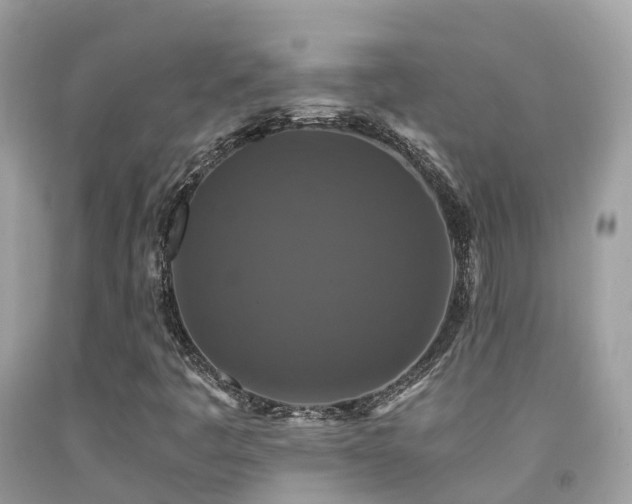 X0000091941445200709051513