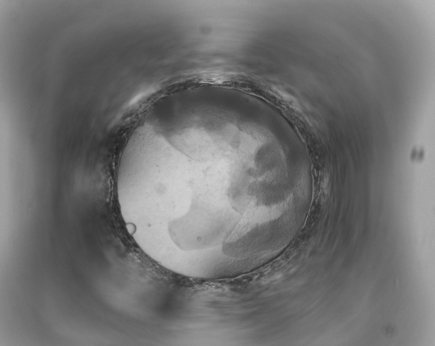 X0000091941446200709051513