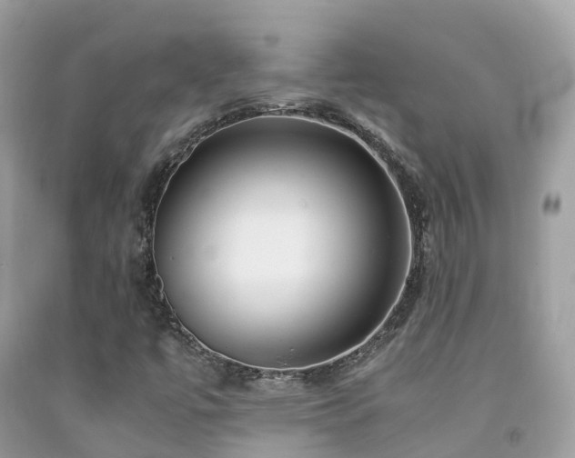 X0000091941447200709051513