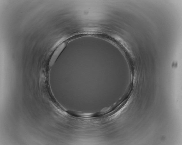 X0000091941449200709051513