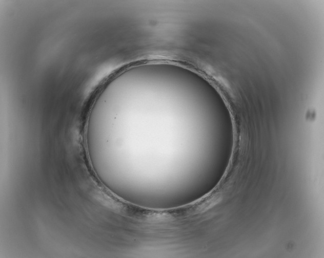 X0000091941454200709051512