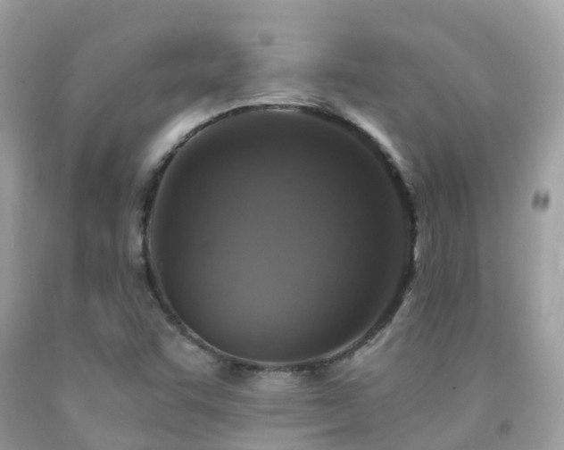 X0000091941455200709051512